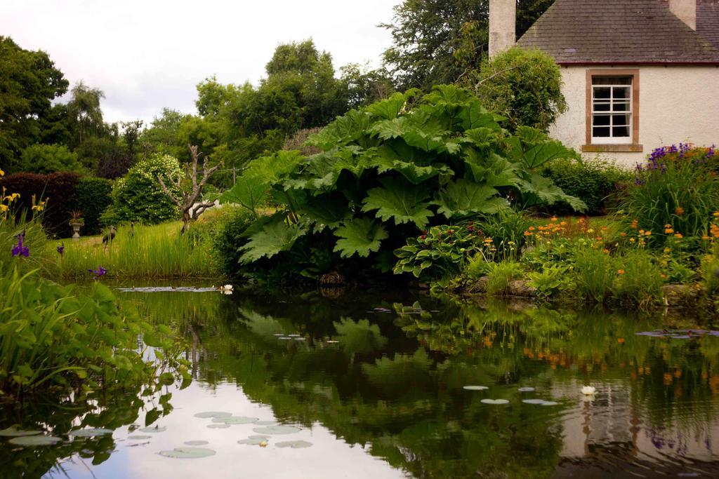 Hotel The Dower House Muir of Ord Zimmer foto